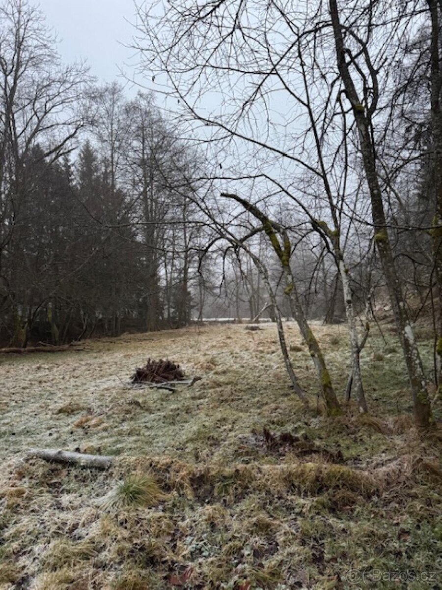 Prodej lesních pozemků k.ú. Nespice