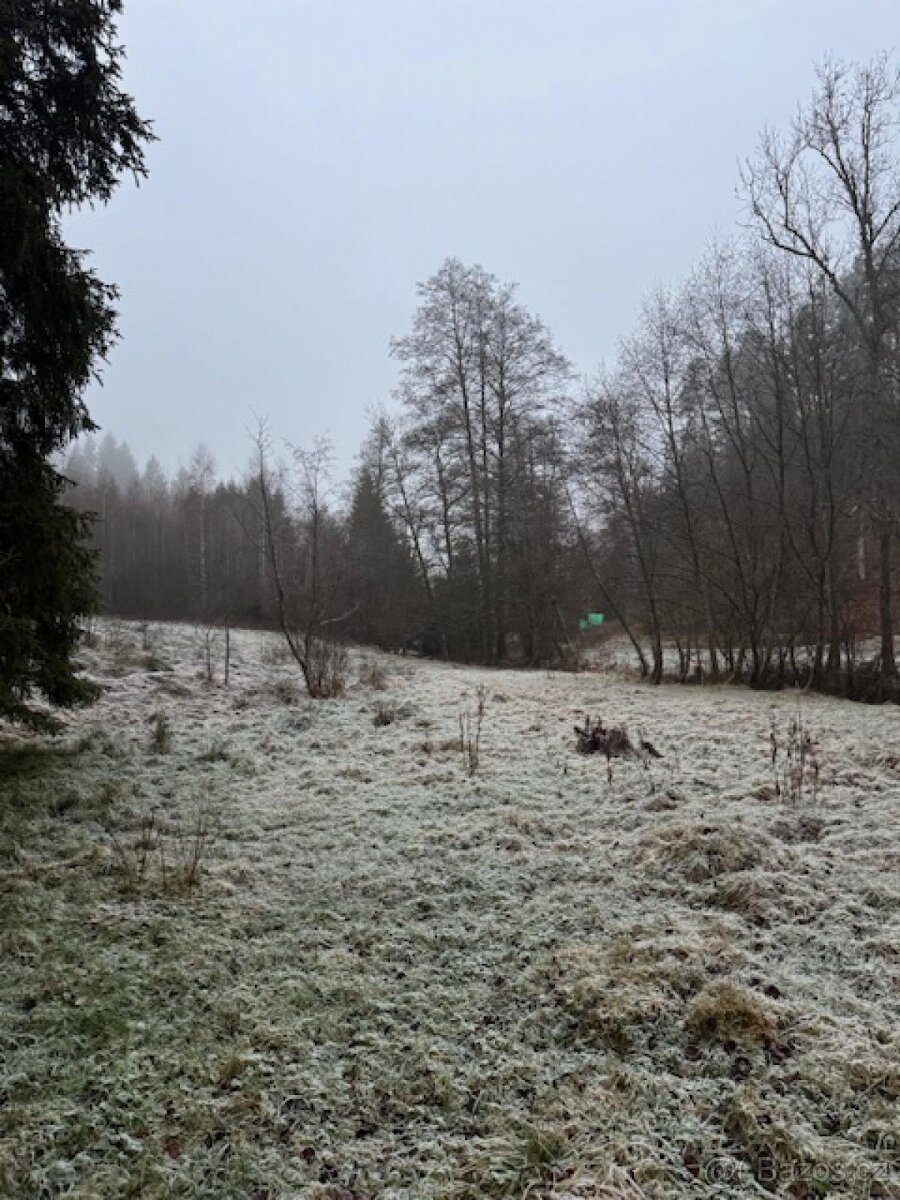 Prodej lesních pozemků k.ú. Nespice