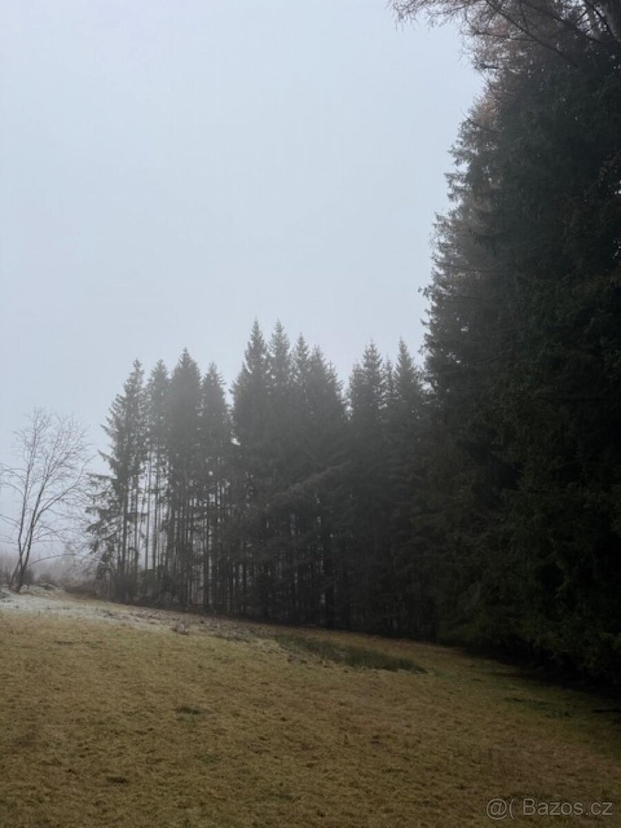 Prodej lesních pozemků k.ú. Nespice