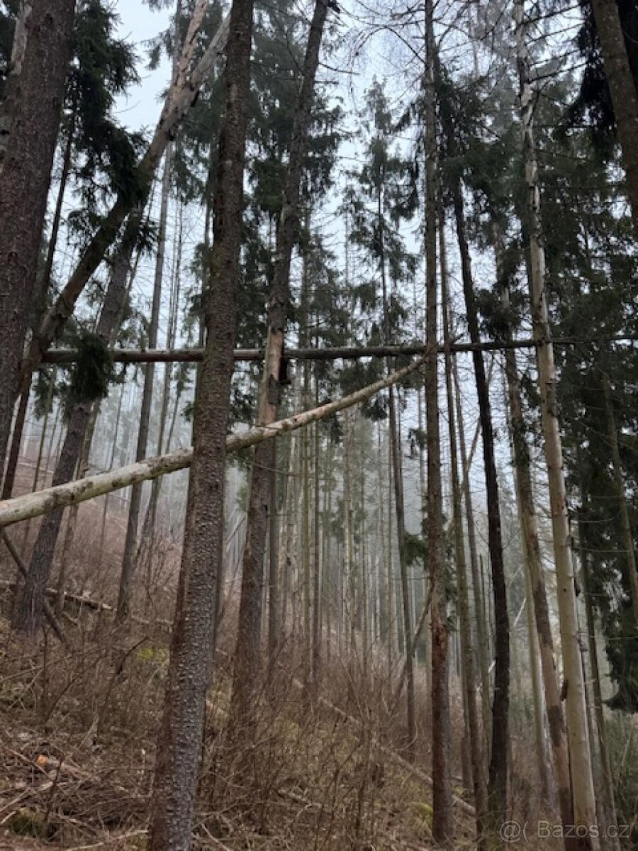 Prodej lesních pozemků k.ú. Nespice