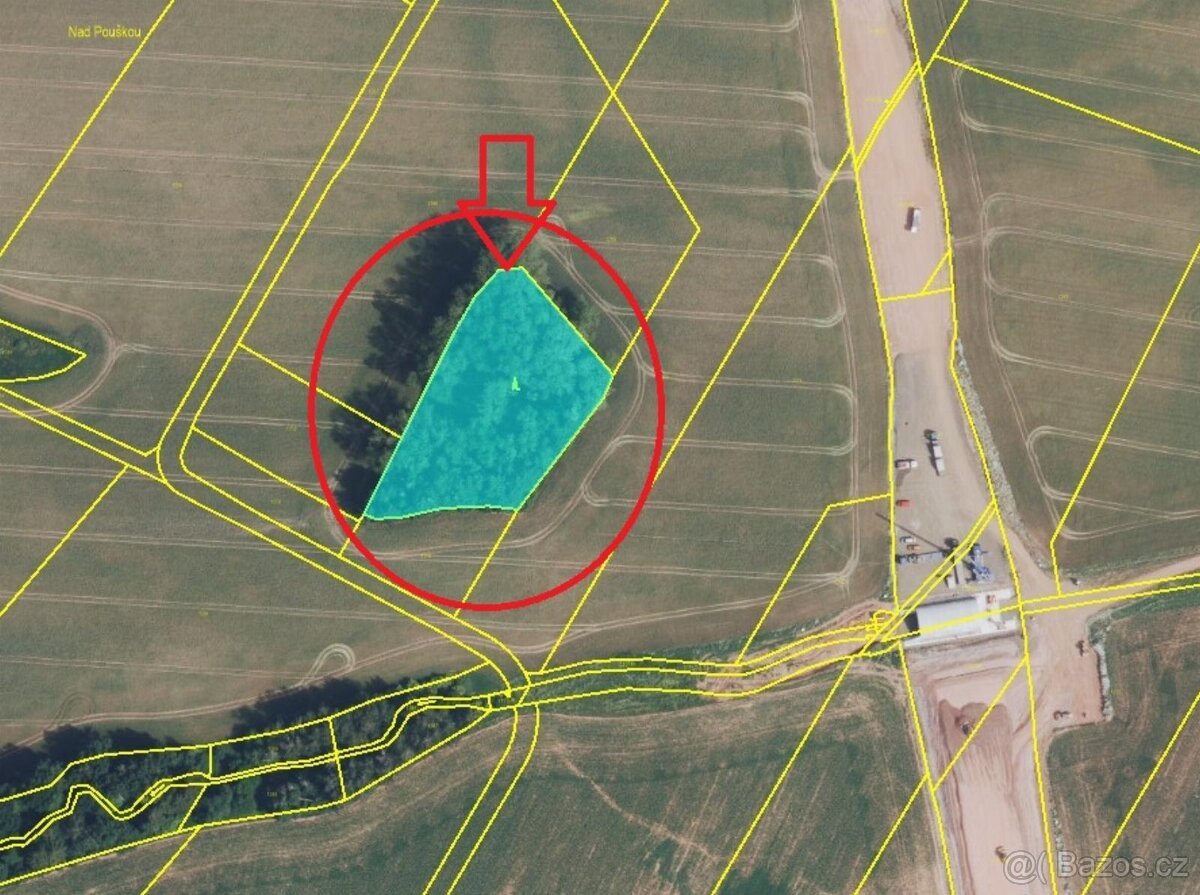 Prodej lesního pozemku k.ú. Vrchovina