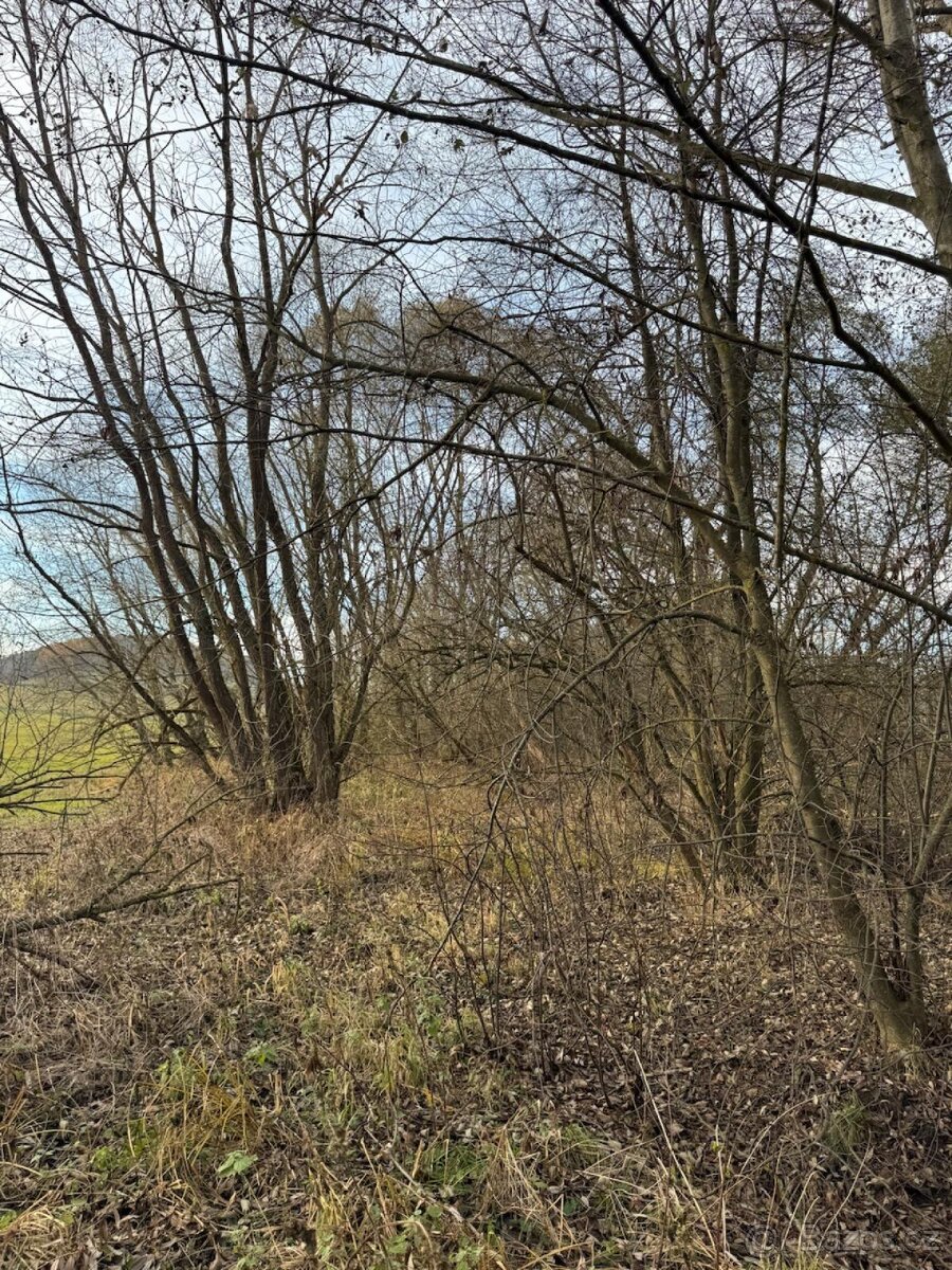 Prodej pozemku v k.ú. Chvalšiny