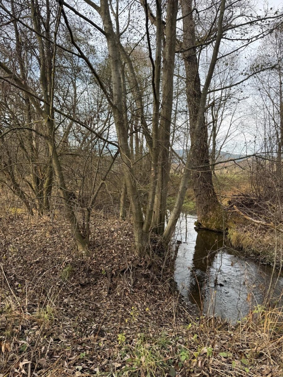 Prodej pozemku v k.ú. Chvalšiny