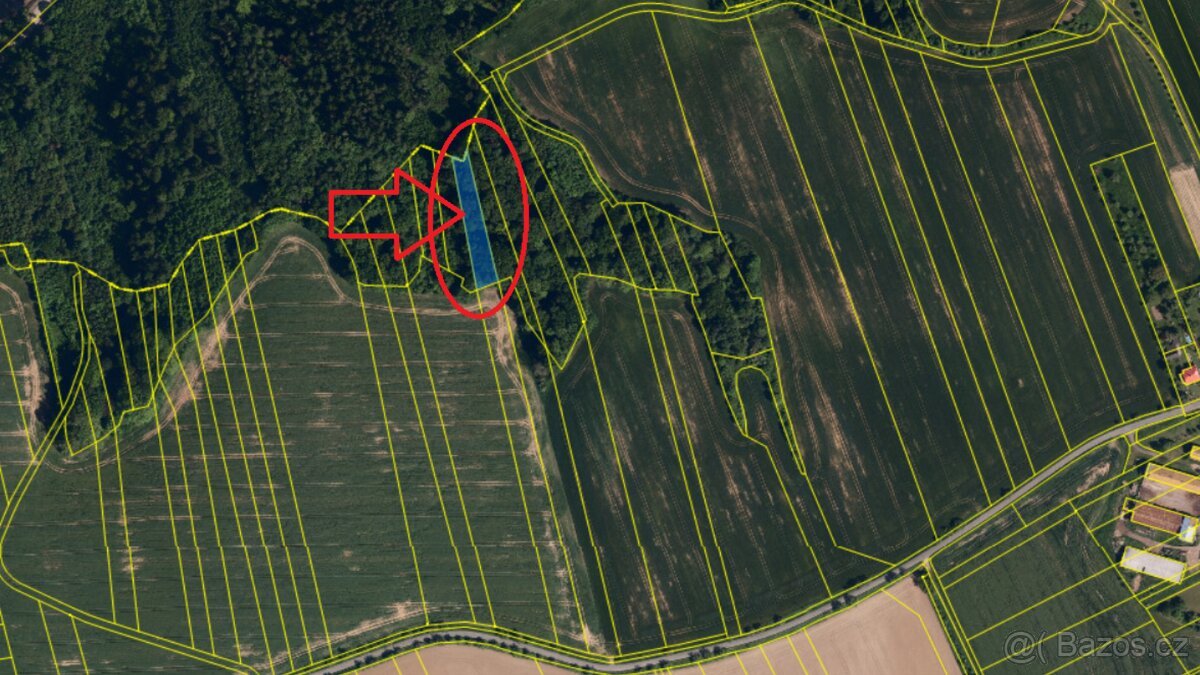 Prodej lesního pozemku v k.ú. Lhota u Lipníka nad Bečvou