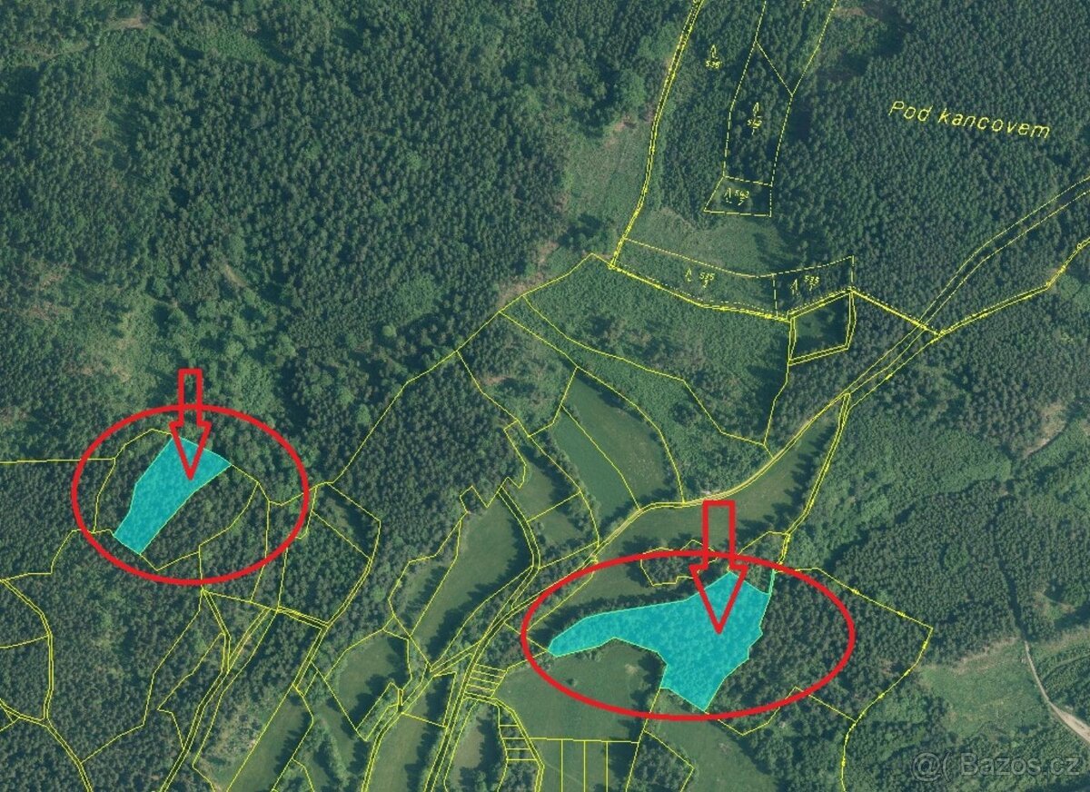 Prodej lesních pozemků v k.ú. Dolní Kožlí