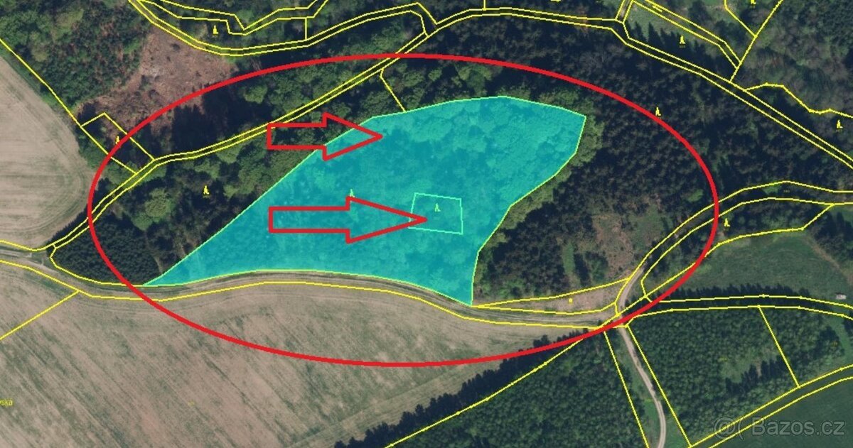 Prodej lesního pozemku v k.ú. Liberk