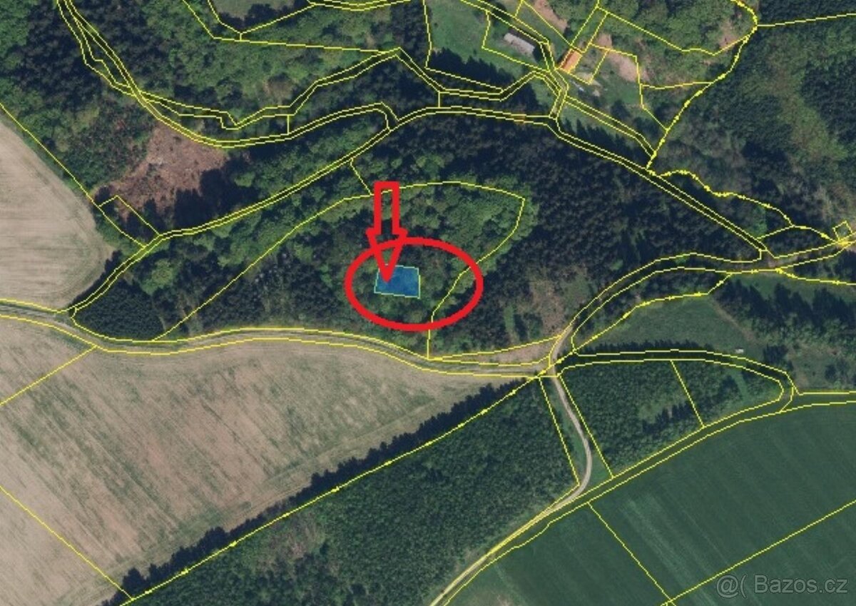 Prodej lesního pozemku v k.ú. Liberk