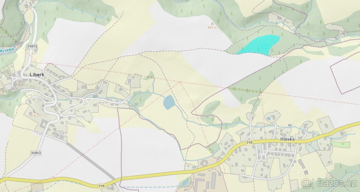 Prodej lesního pozemku v k.ú. Liberk