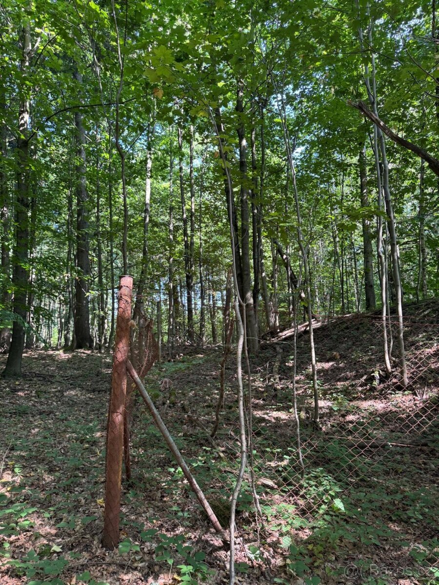 Prodej lesního pozemku v k.ú. Liberk