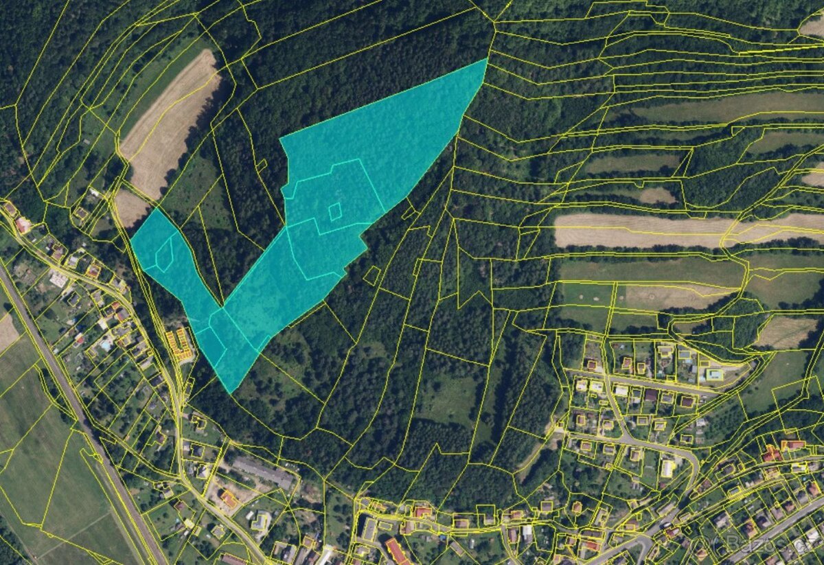 Prodám lesní pozemky v k.ú. Bohutín nad Moravou