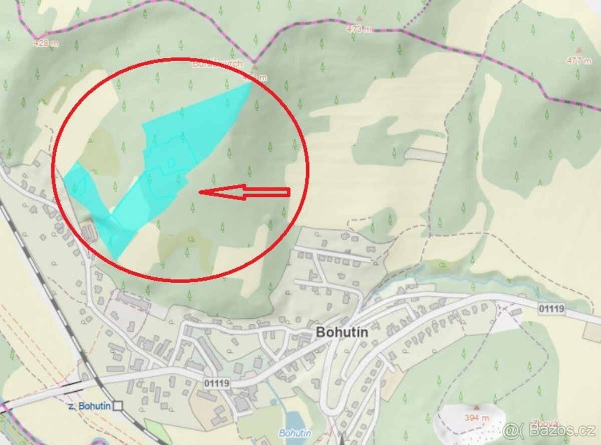 Prodám lesní pozemky v k.ú. Bohutín nad Moravou