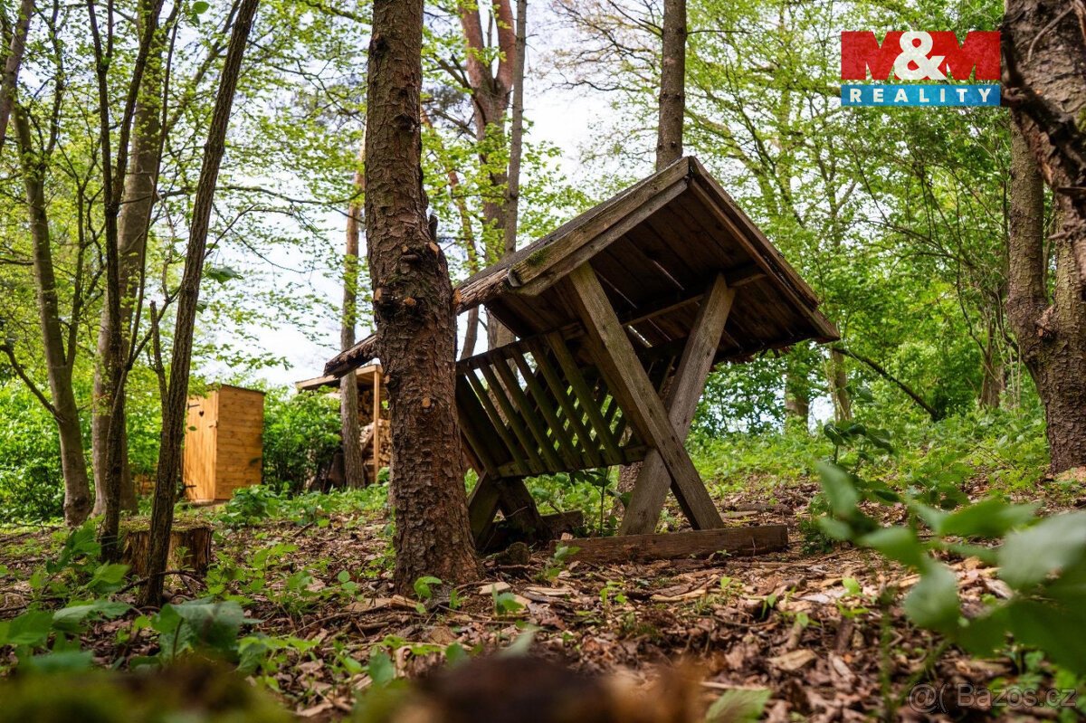 Prodej lesa, 7342 m², Borohrádek