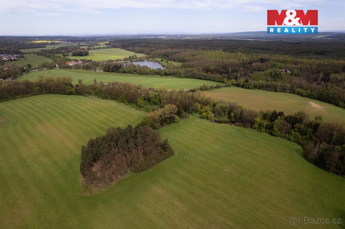 Prodej lesa, 7342 m², Borohrádek