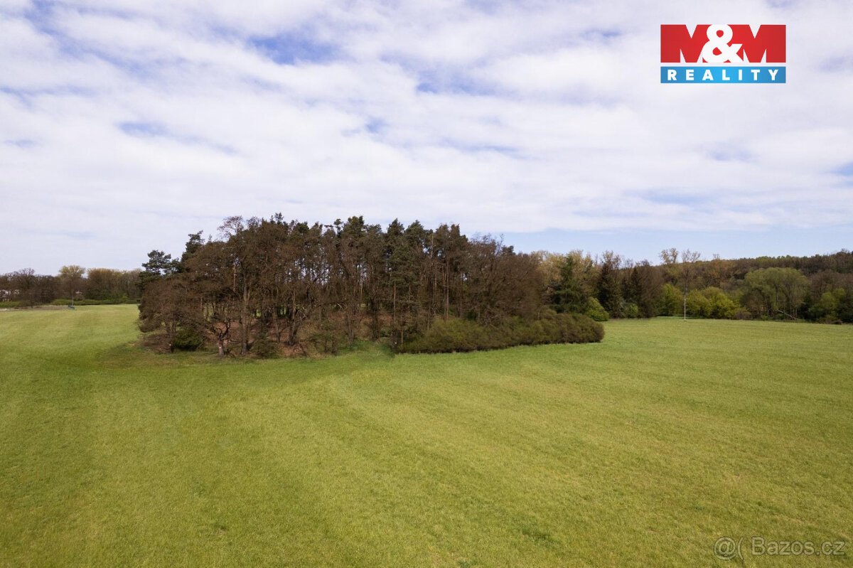 Prodej lesa, 7342 m², Borohrádek