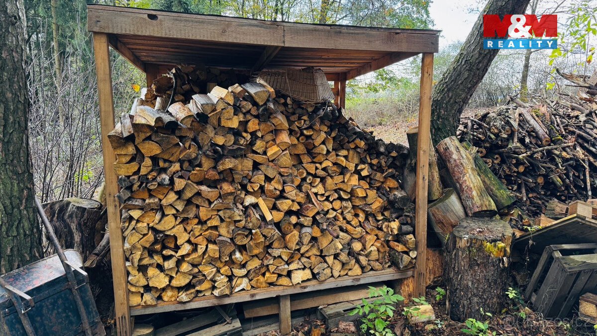 Prodej lesa, 7342 m², Borohrádek