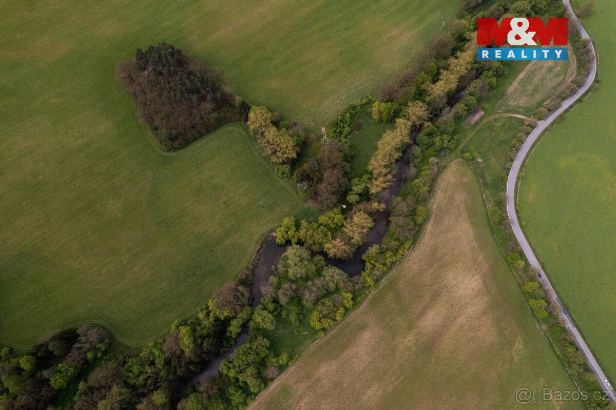 Prodej lesa, 7342 m², Borohrádek