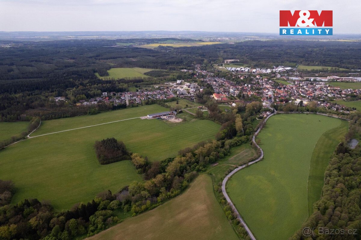 Prodej lesa, 7342 m², Borohrádek