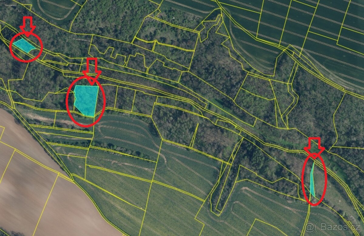 Prodám lesní pozemky v katastrálním území Radouň