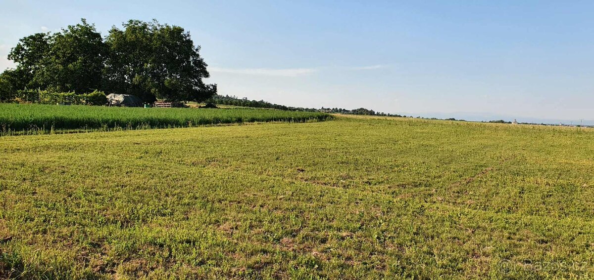 Prodej stavebního pozemku ve Střížově
