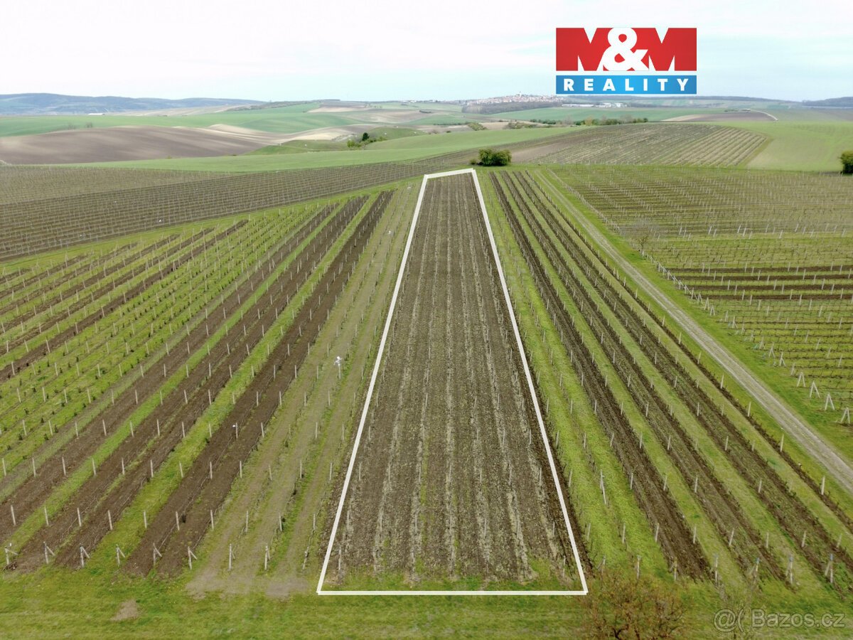 Prodej vinice, 3600 m², Velké Bílovice