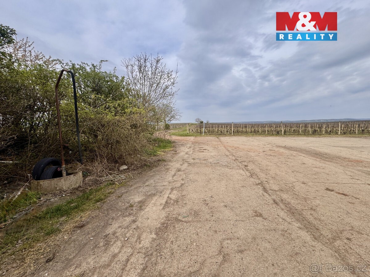 Prodej vinice, 3600 m², Velké Bílovice