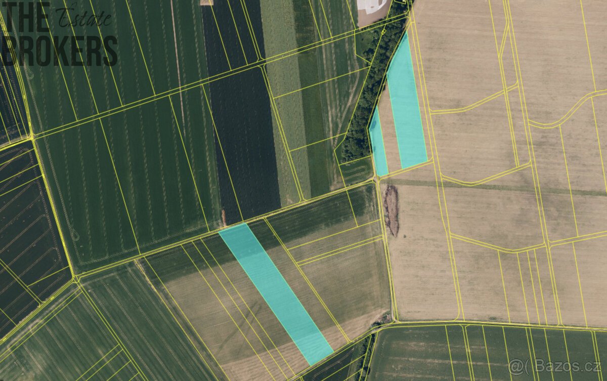 Prodej zemědělských pozemků  Turovice