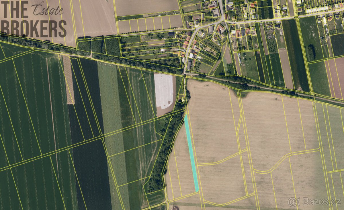 Prodej zemědělských pozemků  Turovice