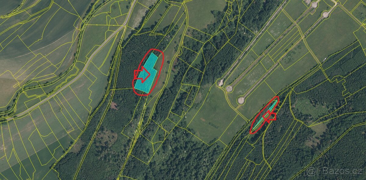 Prodej lesních pozemků k.ú. Poleň