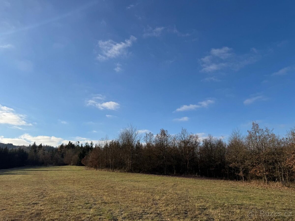 Prodej lesních pozemků k.ú. Poleň