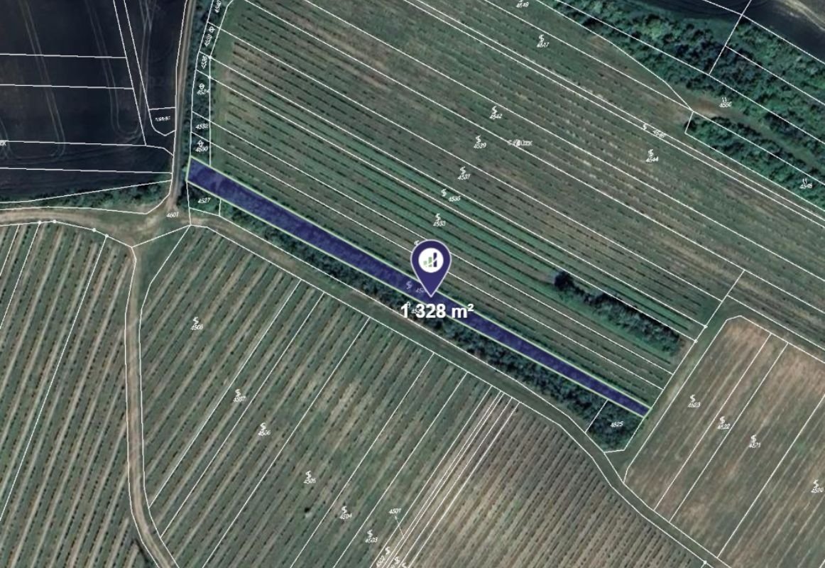 Prodej vinice v k.ú. Starovičky, ev.č. 2025-05-30-1