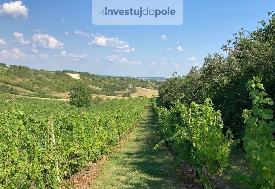 Prodej vinice v k.ú. Starovičky, ev.č. 2025-05-30-1