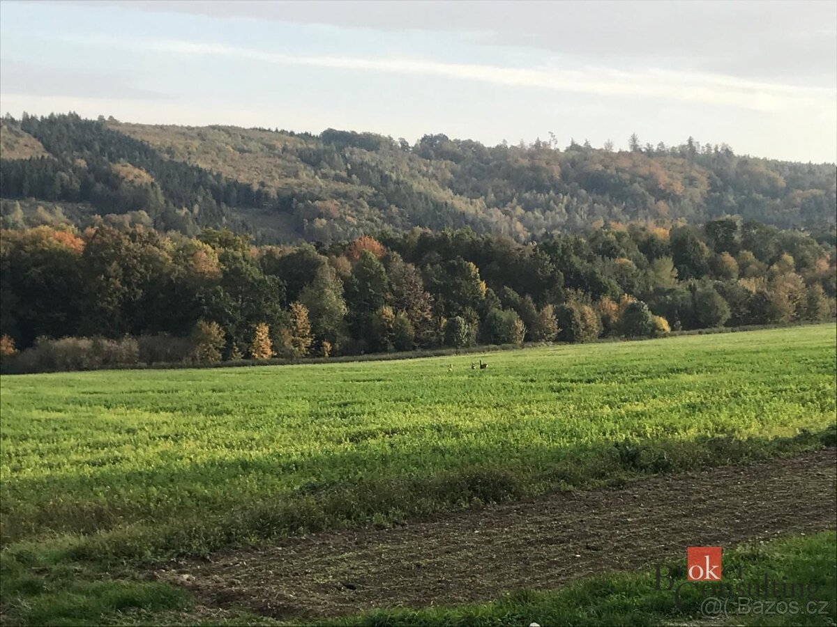 Prodej, pozemky/bydlení, 885 m2, Čavisov, Ostrava-město [ID 