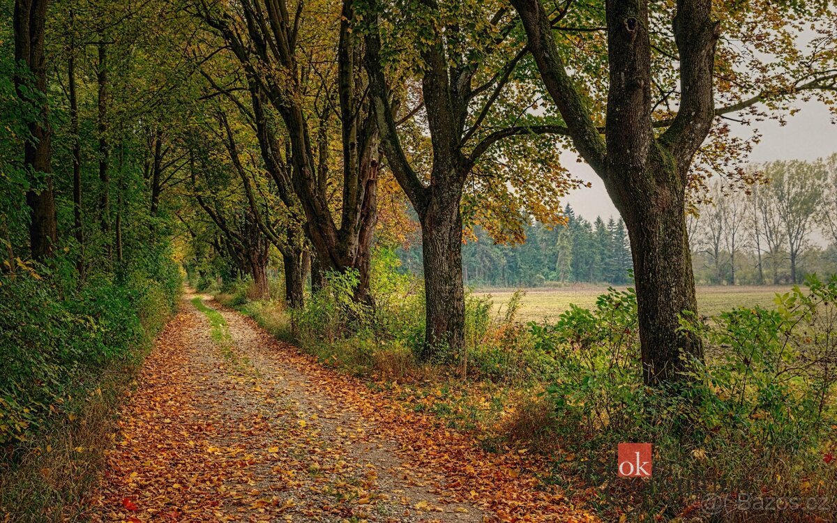 Prodej, pozemky/bydlení, 885 m2, Čavisov, Ostrava-město [ID 