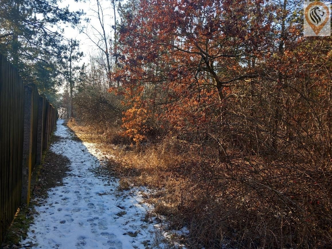 Pozemek v Košťanech o velikosti 1002 m² nabízí klid a prosto