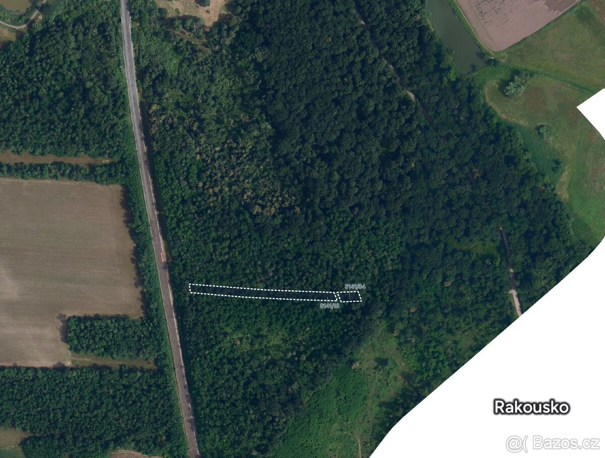 Les, prodej, Poštorná, Břeclav