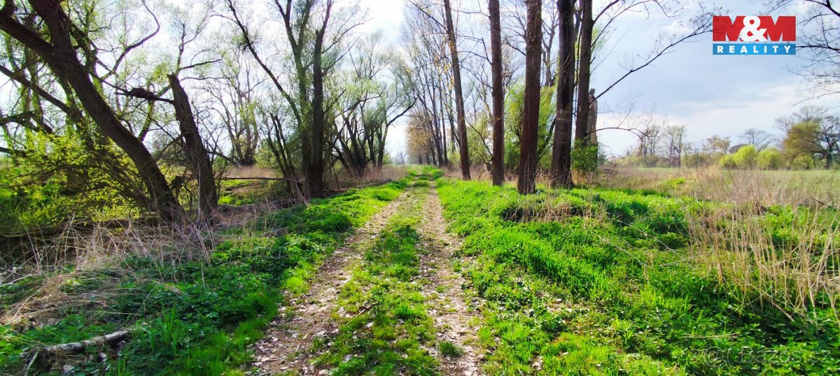 Prodej ostatní, 788 m², Hořín