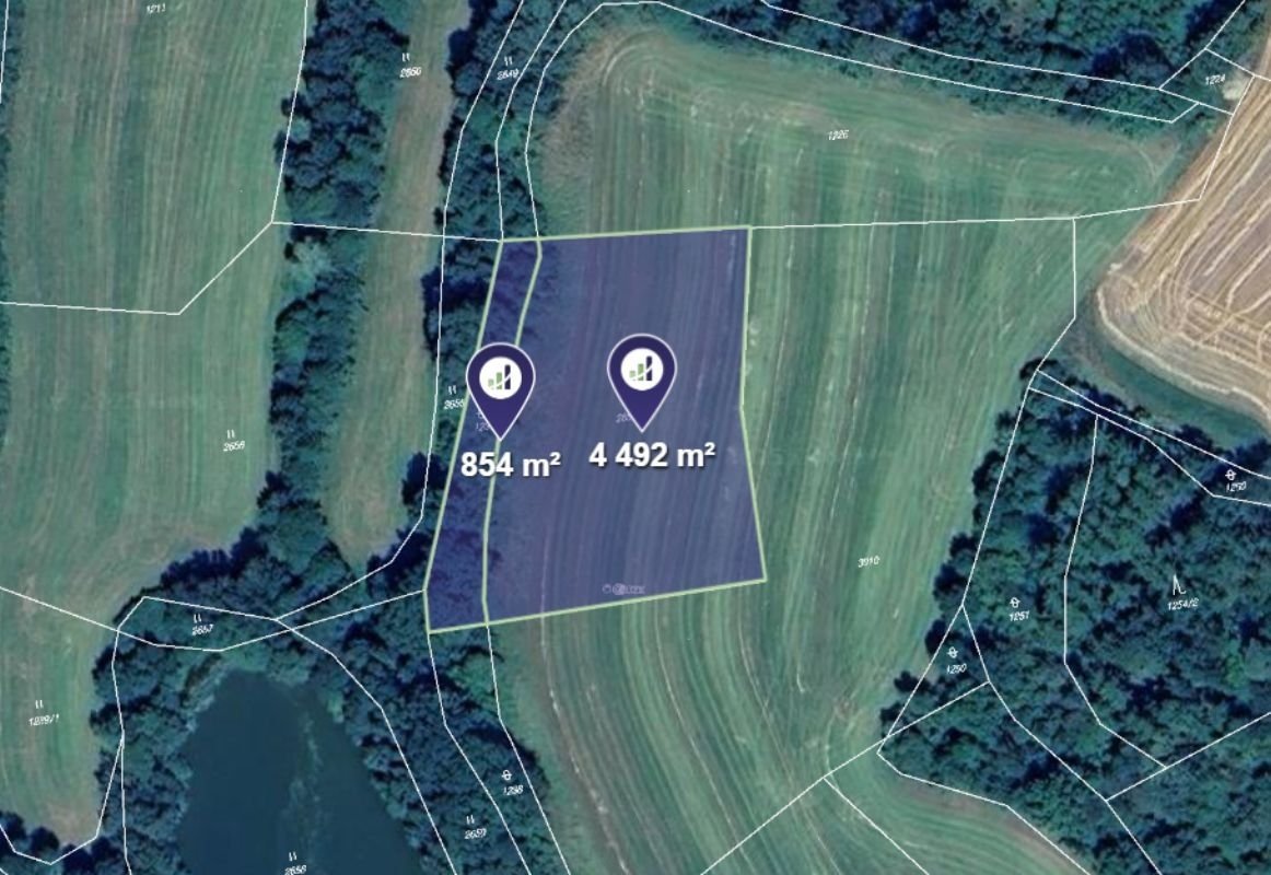 Prodej pole v k.ú. Soběšice u Sušice