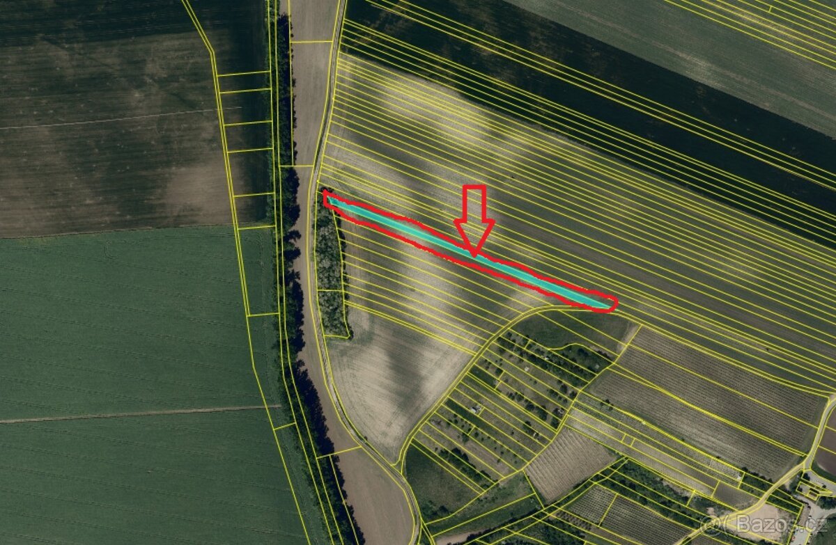 Prodej pozemků k.ú. Mutěnice