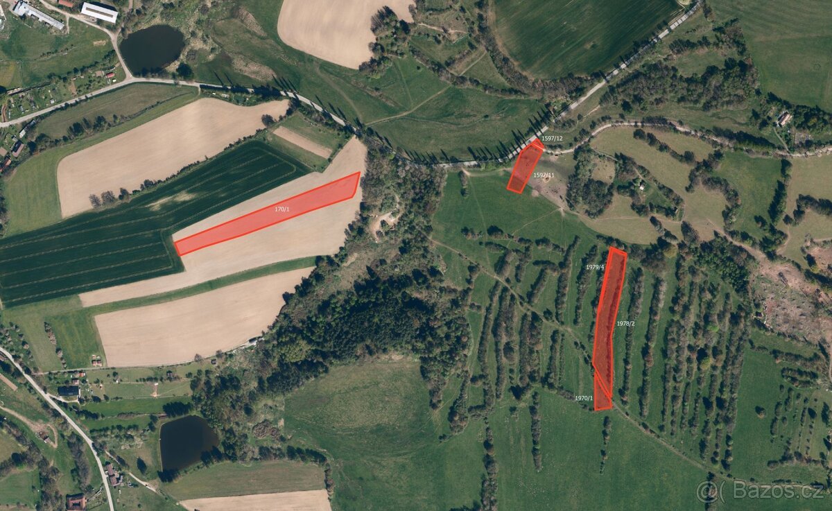 Zemědělská půda, prodej, Nový Rychnov, Pelhřimov