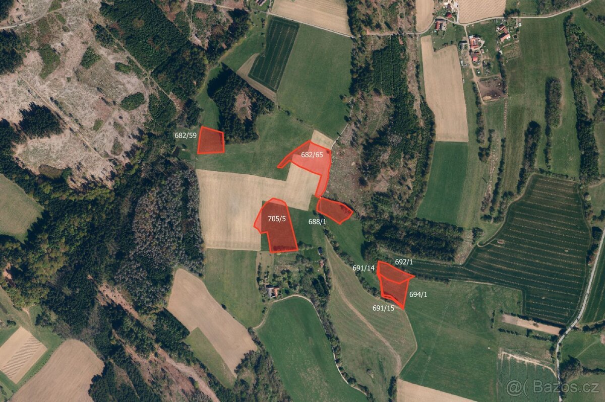 Zemědělská půda, prodej, Nový Rychnov, Pelhřimov