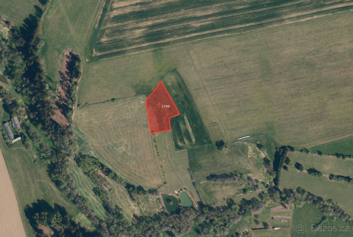 Zemědělská půda, prodej, Nová Cerekev, Pelhřimov