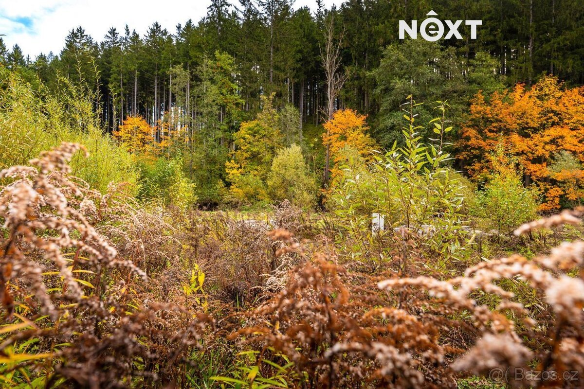 Prodej pozemek Bydlení, 504㎡