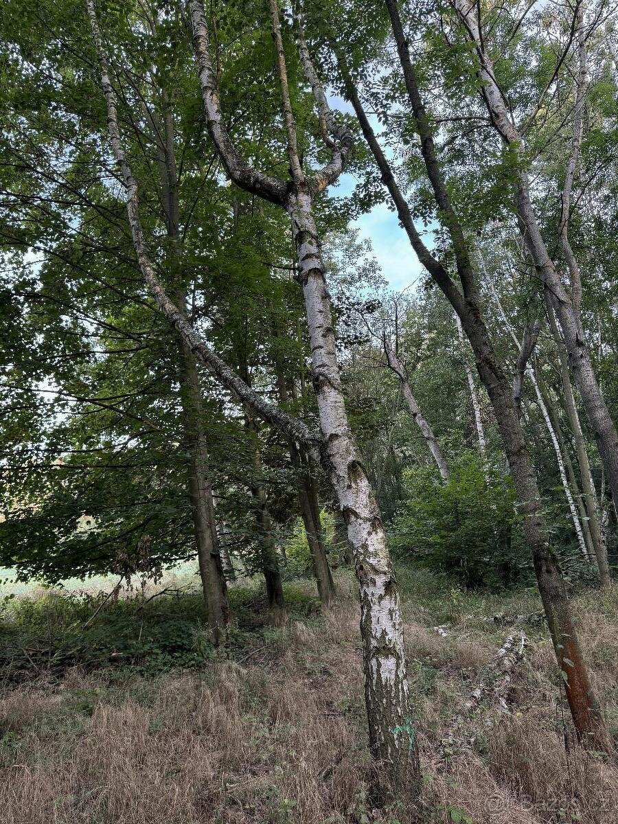 Prodám pozemky v k.ú. Lukov u Úštěku