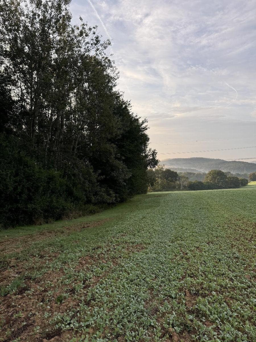 Prodám pozemky v k.ú. Lukov u Úštěku