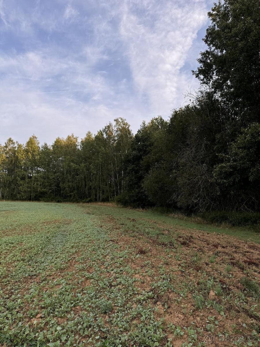 Prodám pozemky v k.ú. Lukov u Úštěku