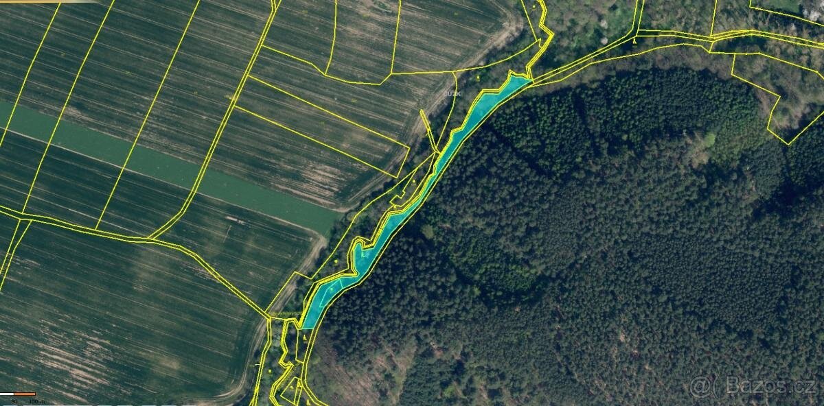 Prodáme lesní pozemky v k.ú. Blíževedly