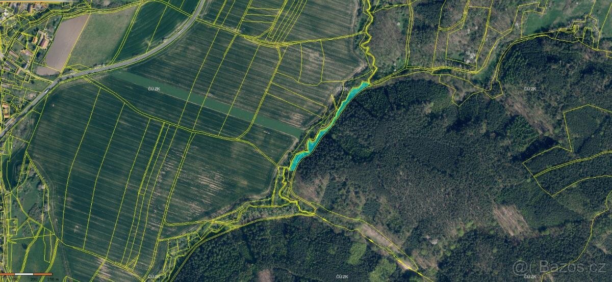 Prodáme lesní pozemky v k.ú. Blíževedly