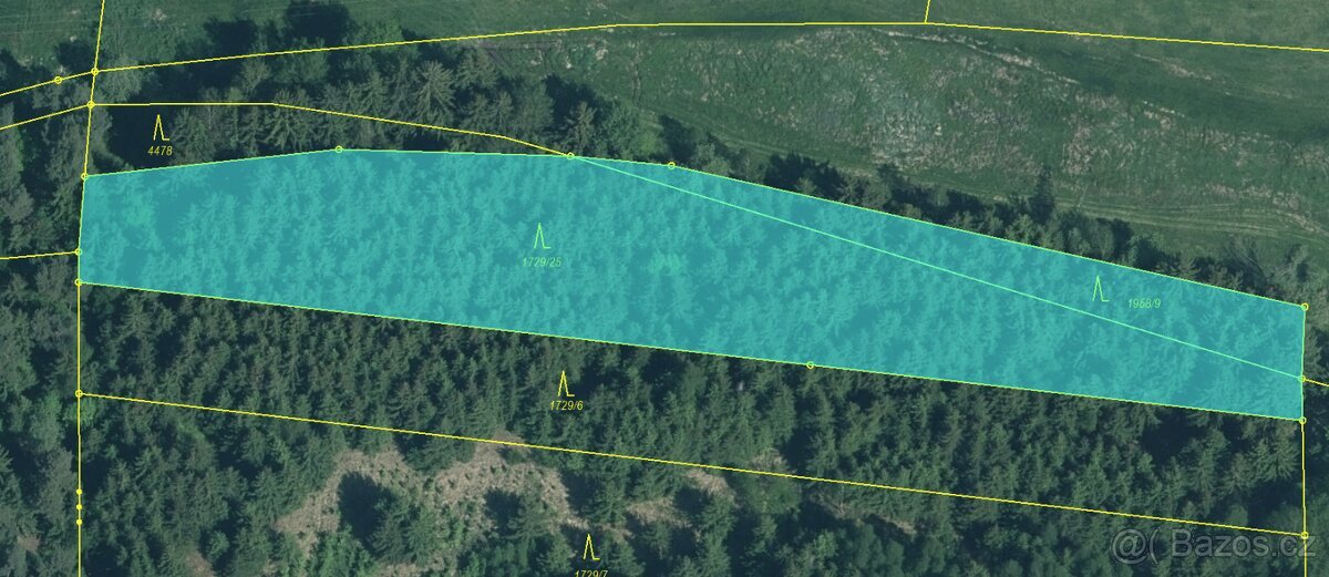 Prodám lesní pozemky v k.ú. Křenovice