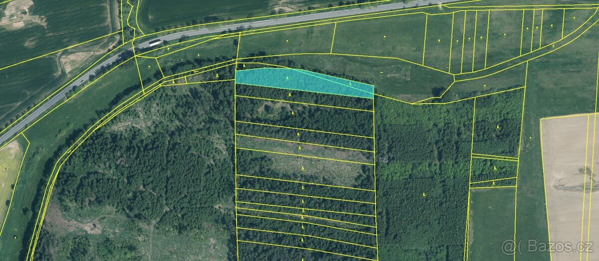 Prodám lesní pozemky v k.ú. Křenovice