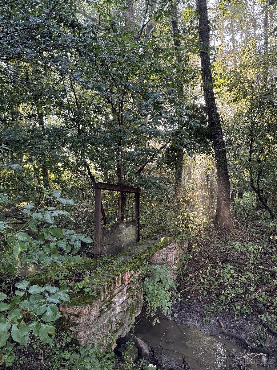 Prodám pozemky v k.ú. Bohuslavice nad Metují